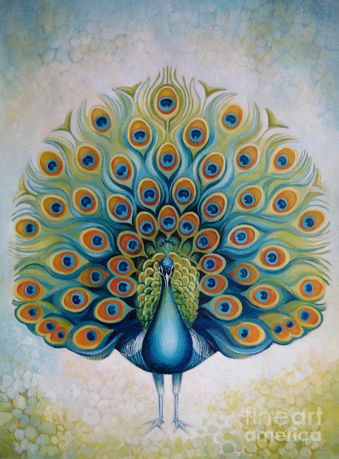 Peacock Drawing